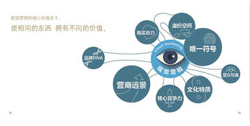 视觉营销的艺术 如何用眼睛赢下互联网销售战役