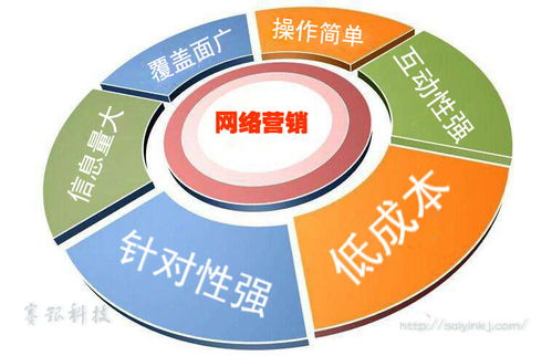 赛银科技 网络营销现状及未来发展趋势